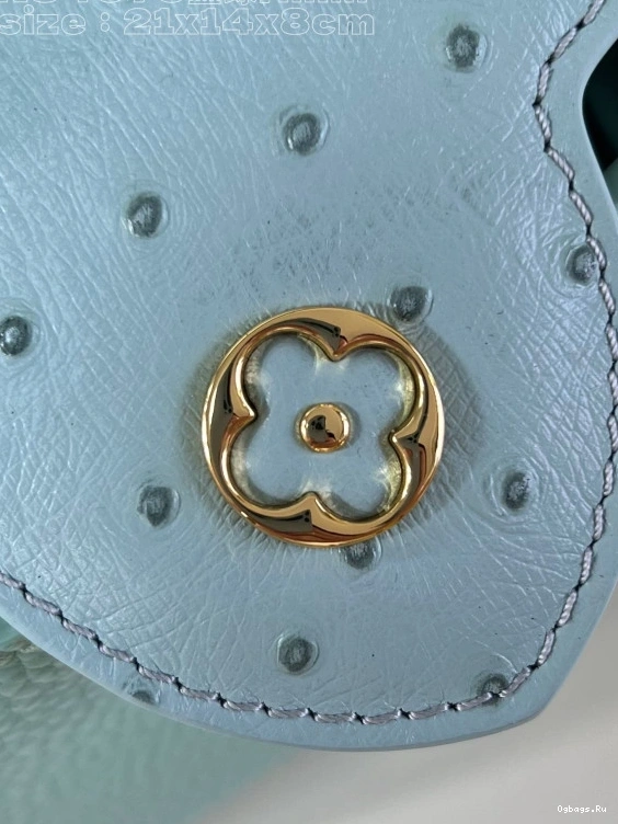 CAPUCINES MINI-22*12*8CM LOUIS VUITTON 0121